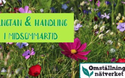 Längtan och handling i midsommartid